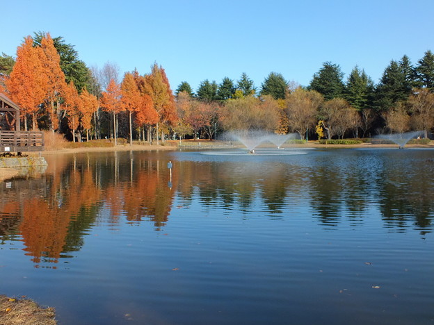 彩の森公園782