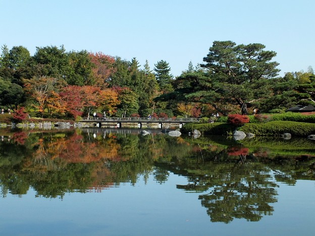 日本庭園240