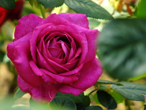 DSCF0185