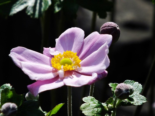 DSCF0107