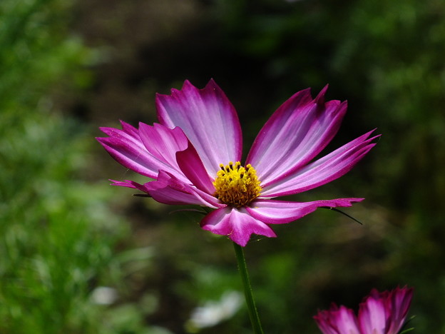 DSCF0047