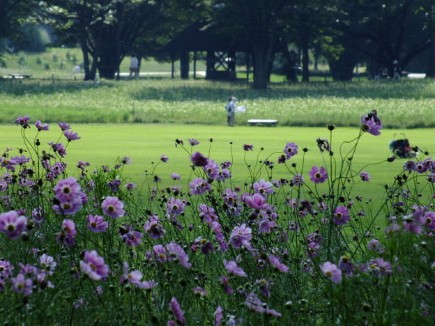 DSCF0332