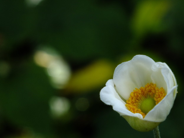 DSCF0019