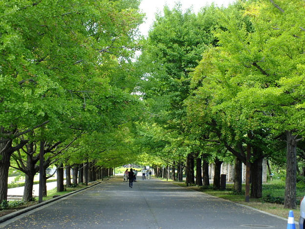 DSCF0030