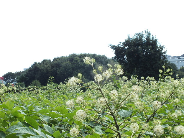DSCF0030