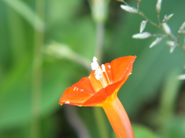 DSCF0147