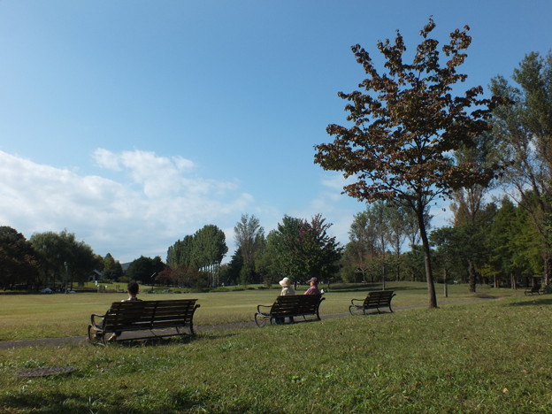 DSCF0204