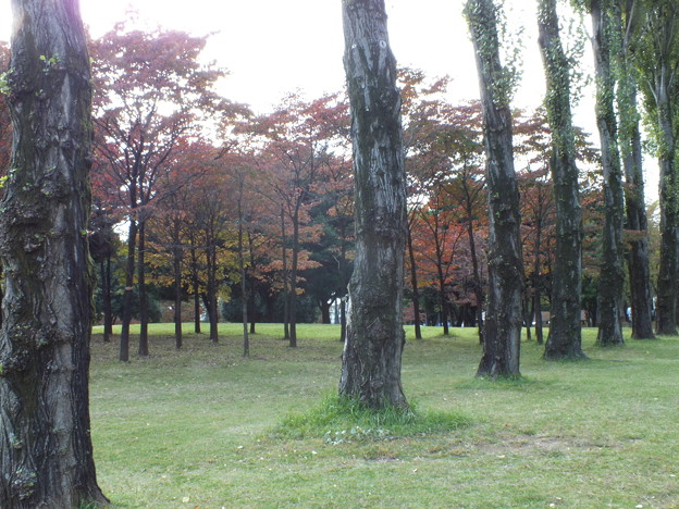 DSCF0305