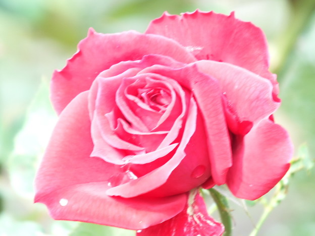 DSCF0047