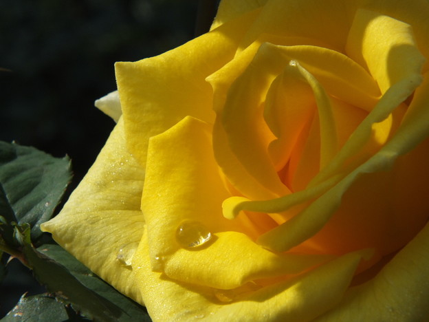 DSCF0056