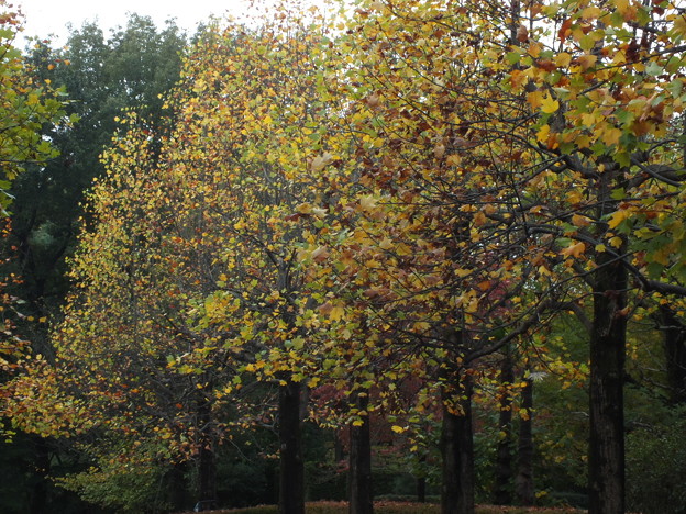 DSCF0188