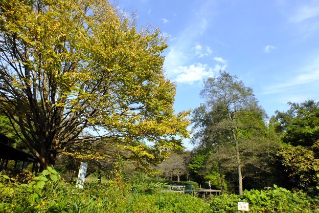 DSCF0578