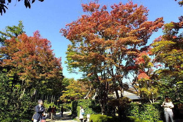 DSCF0299