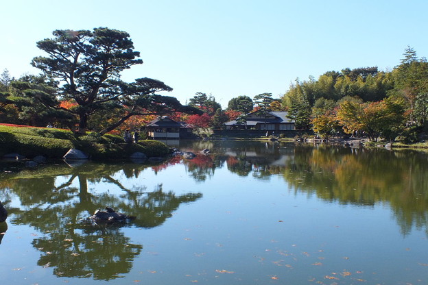 DSCF0372