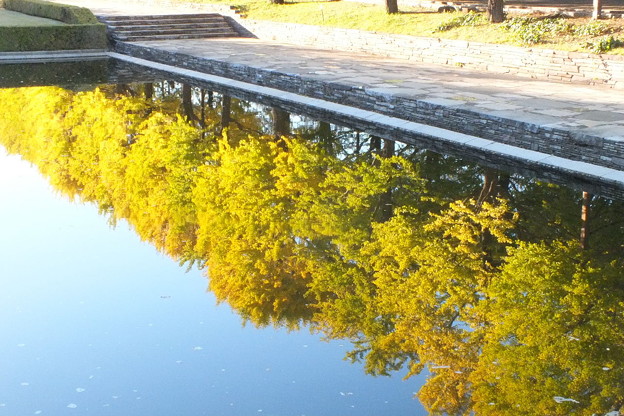 DSCF0565