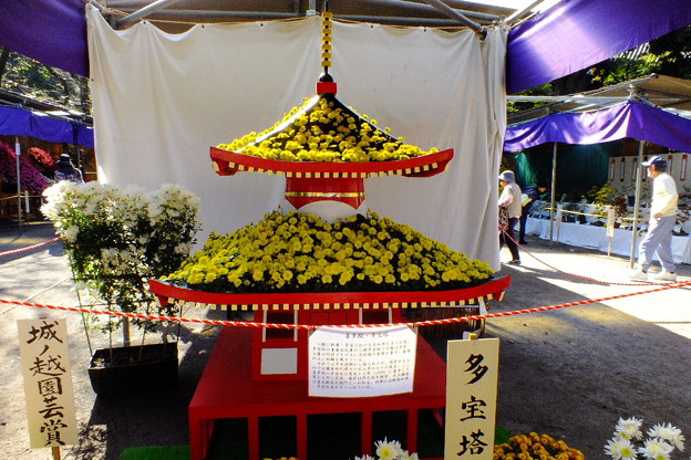 DSCF0099