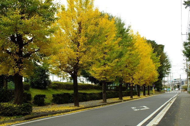 DSCF0034