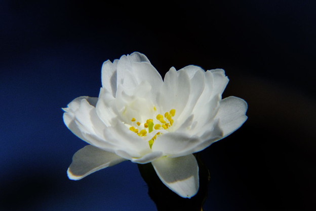 DSCF0227