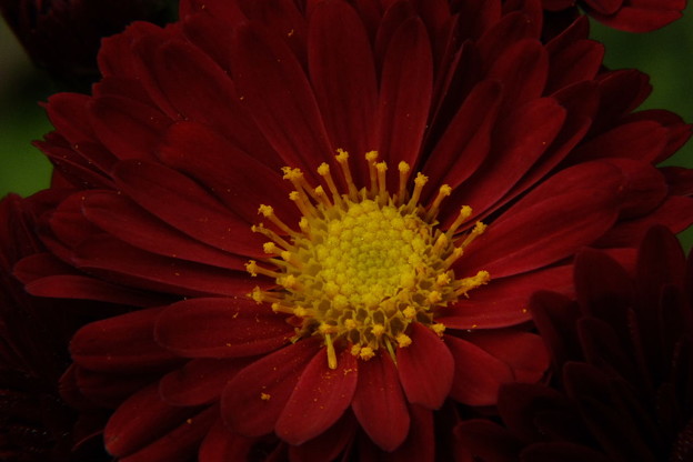 DSCF0217