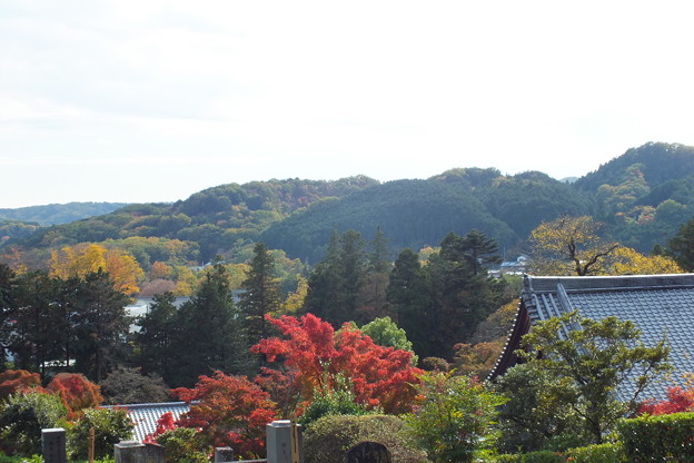 DSCF0297
