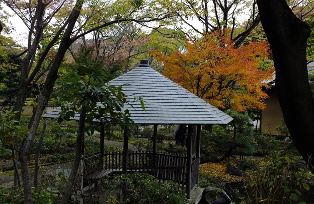 DSCF0436