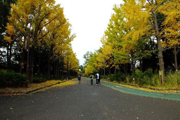 DSCF0198