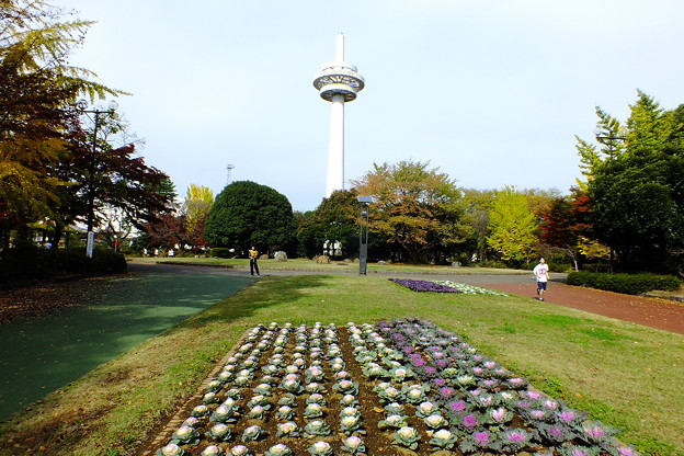 DSCF0125