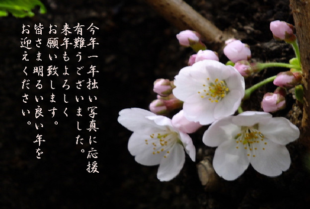 年末3