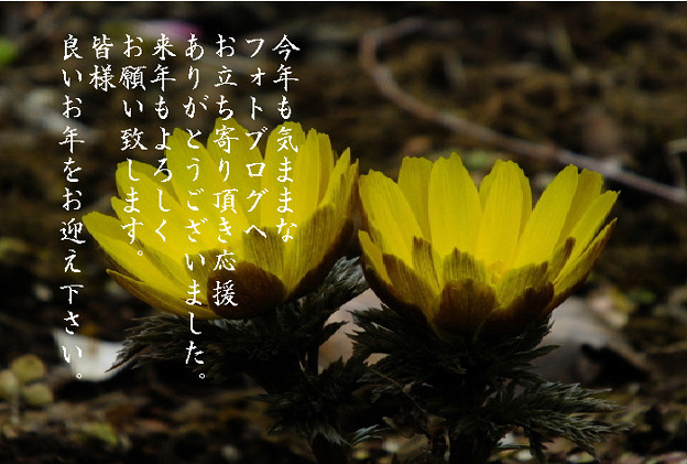 年末4