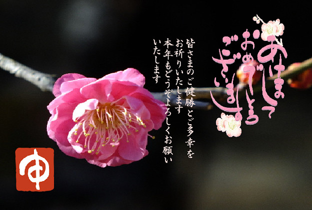 年賀3