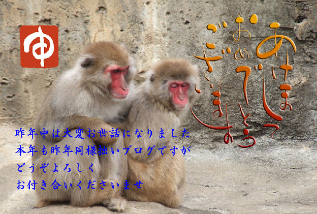 年賀7