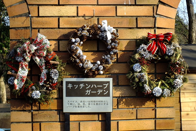 DSCF0268