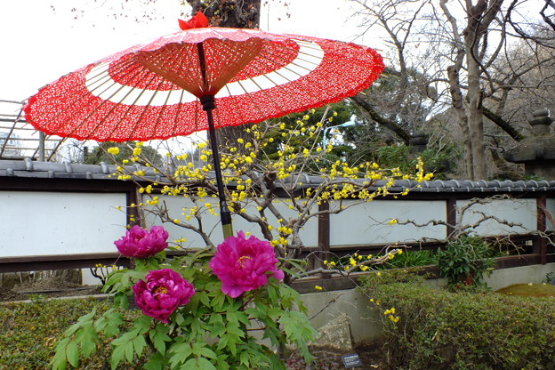 DSCF0146