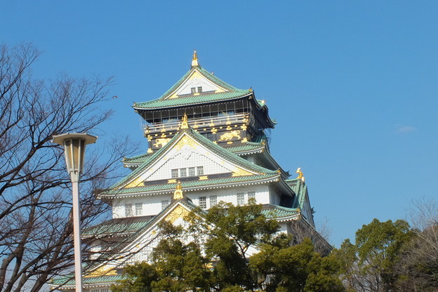 DSCF0463