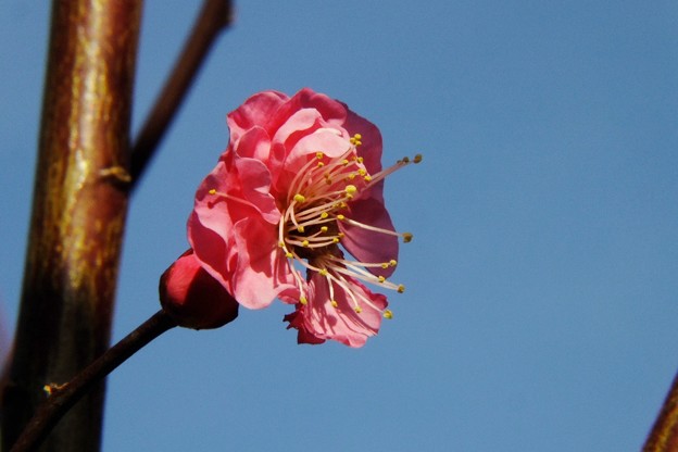 DSCF0501