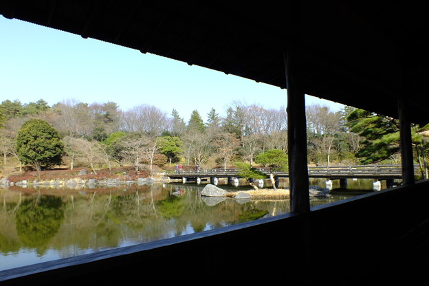 DSCF0113