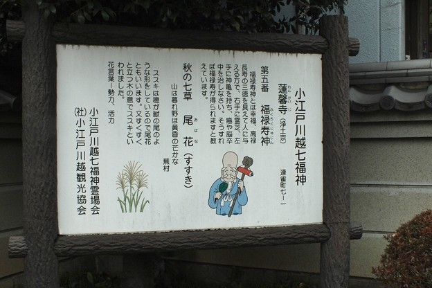 DSCF0013