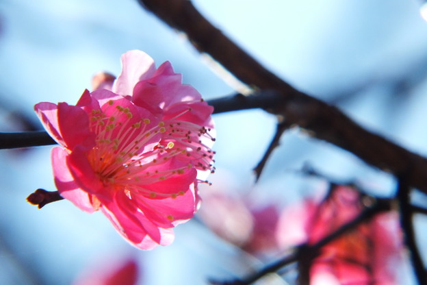 DSCF0006