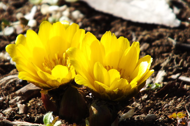 DSCF0084