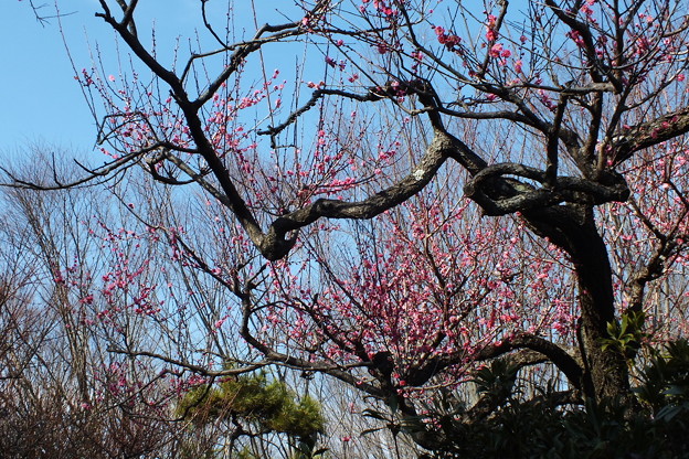 DSCF0112