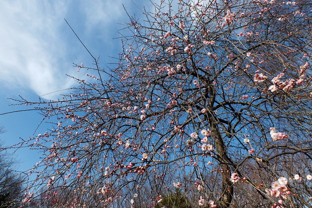 DSCF0134