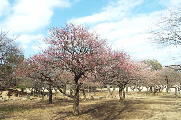 DSCF0173