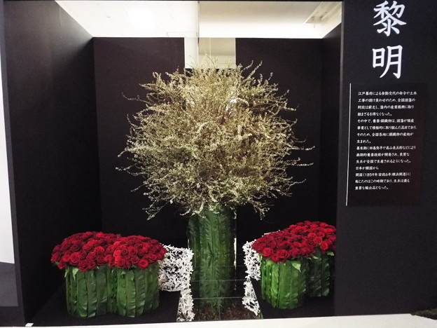 DSCF0903