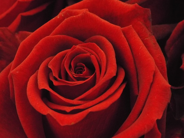 DSCF0059