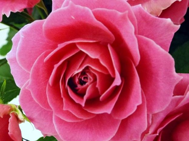 DSCF0271