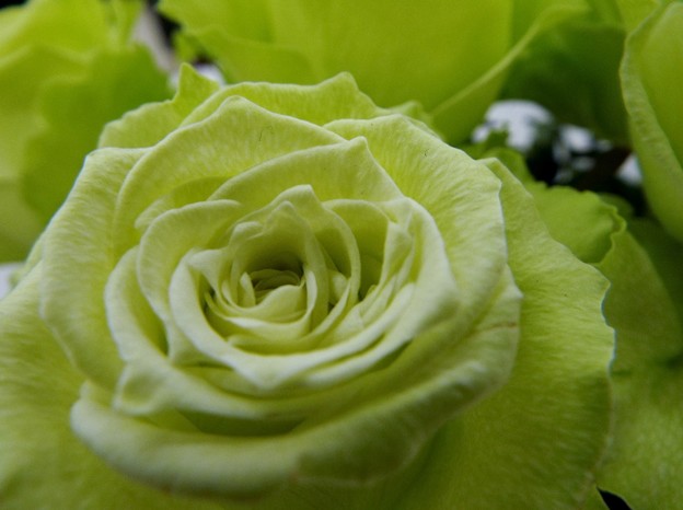DSCF0293
