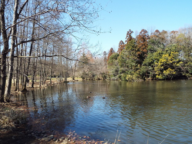 DSCF0068