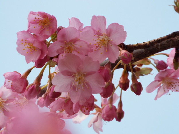 DSCF0078