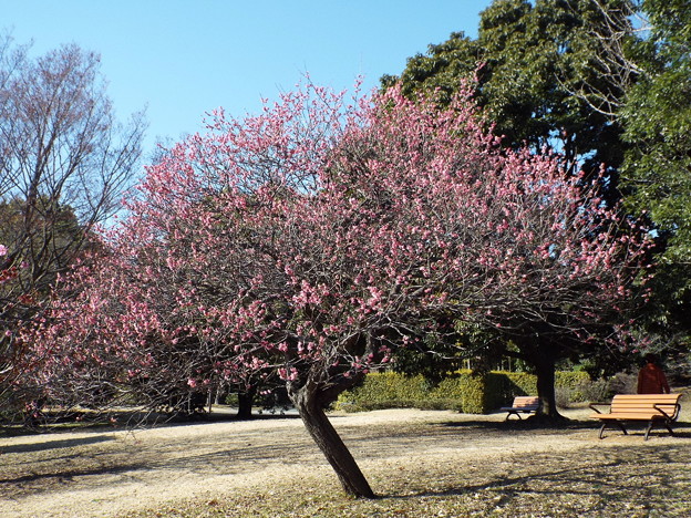 DSCF0380
