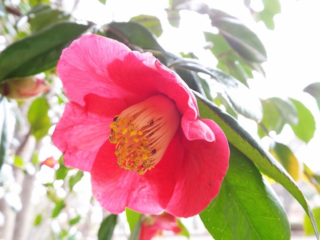 DSCF0094